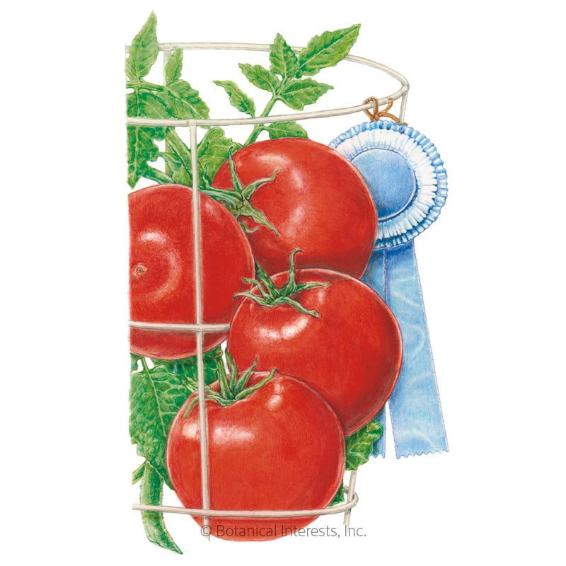 Tomato Bush Beefsteak (62 Days) – T&T Seeds