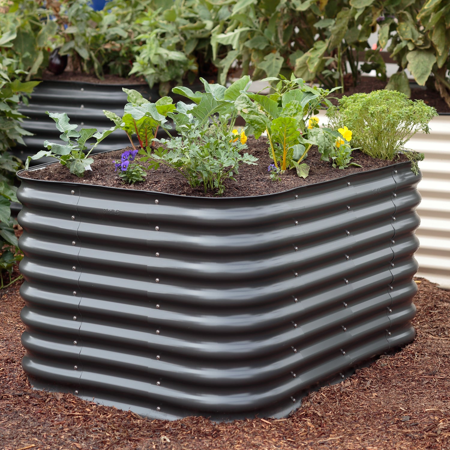 Raised Metal Garden Beds -