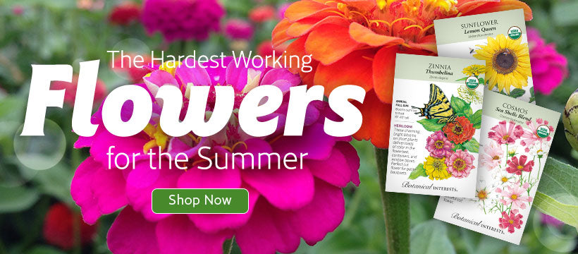 Hard-Working Flowers Collection