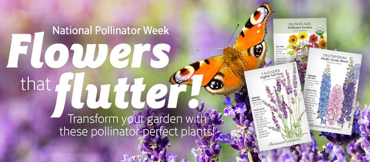 Pollinator Favorites Collection