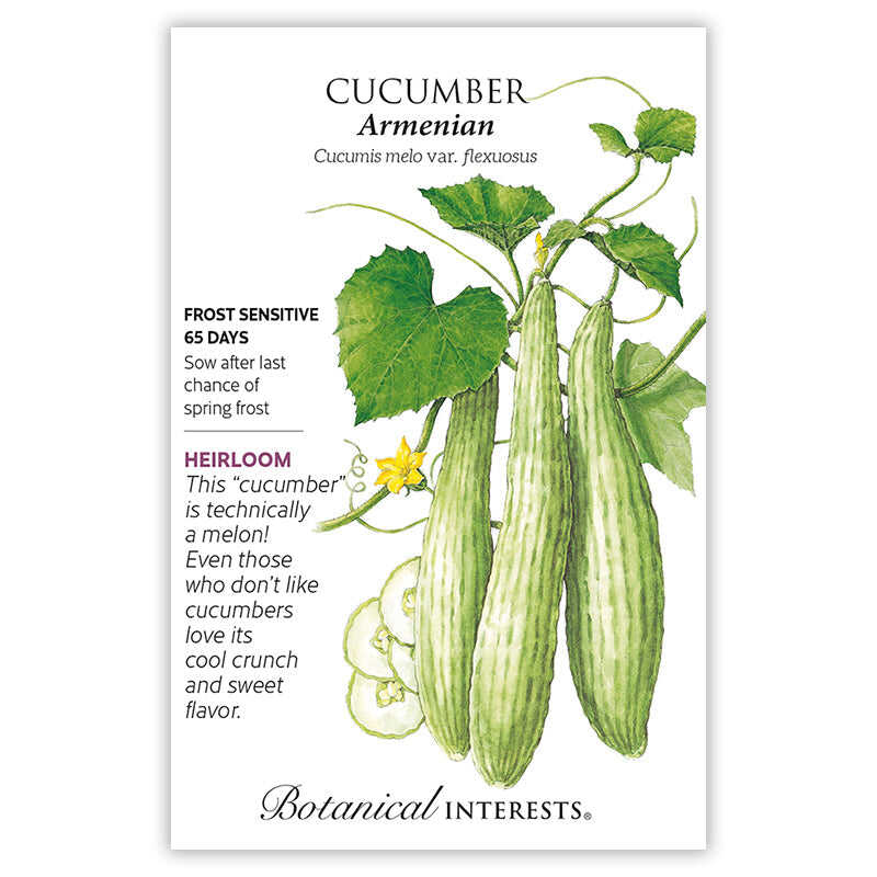 Armenian Cucumber Seeds