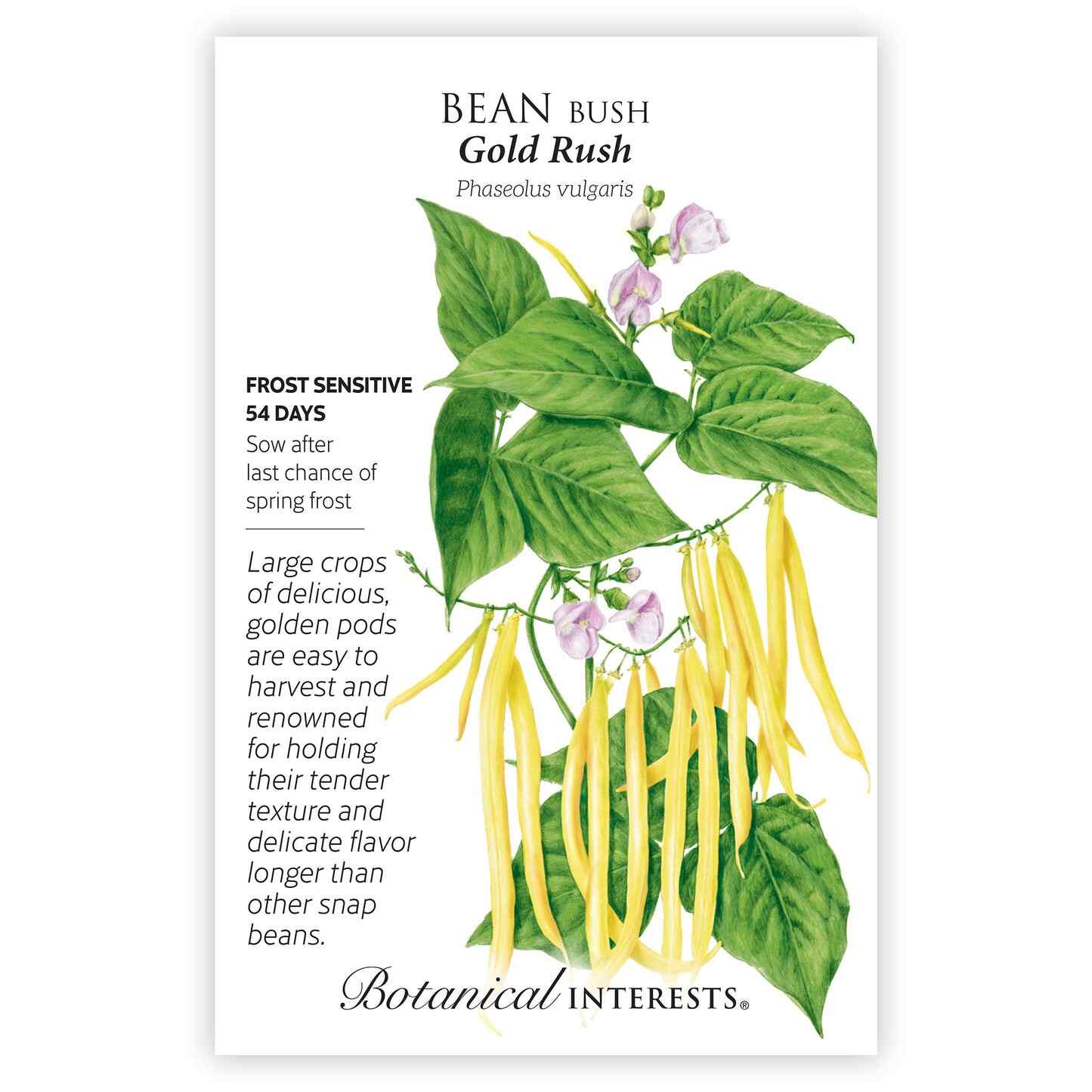 Gold Rush Bush Bean Seeds