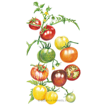 Rainbow Blend Pole Cherry Tomato Seeds