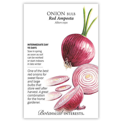 Red Amposta Bulb Onion Seeds