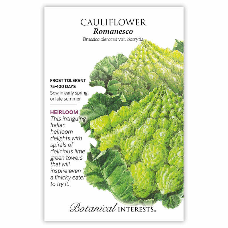 Romanesco Cauliflower Seeds