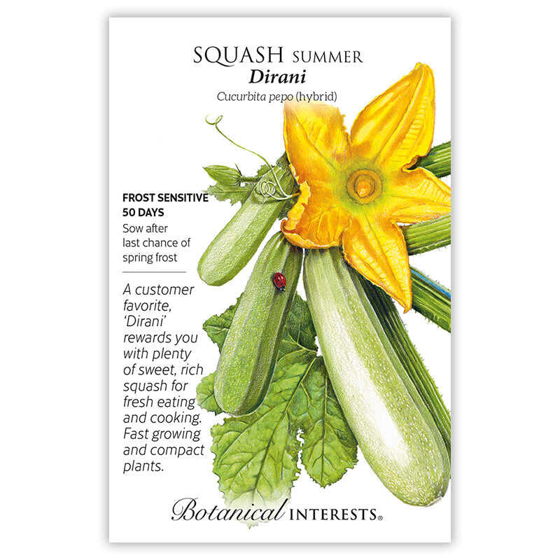 Dirani Summer Squash Seeds