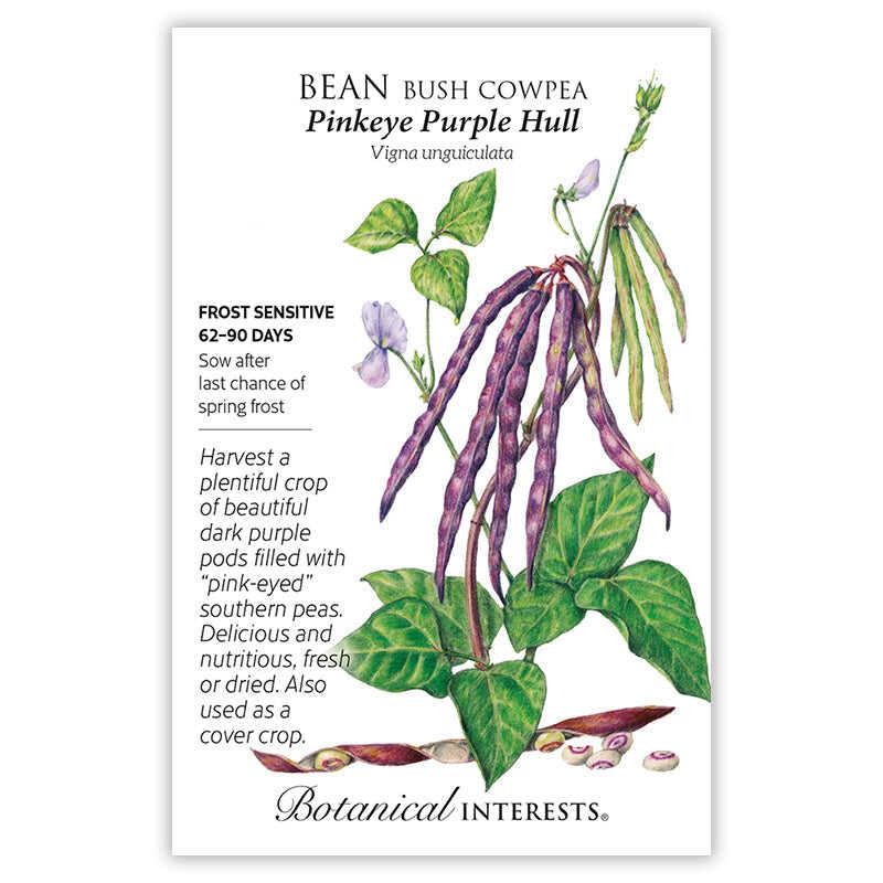 Pinkeye Purple Hull Bush Cowpea Bean Seeds