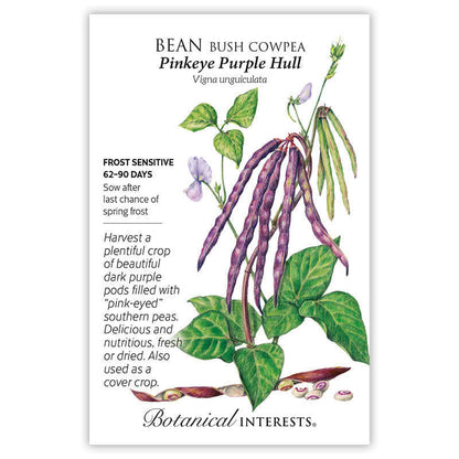 Pinkeye Purple Hull Bush Cowpea Bean Seeds