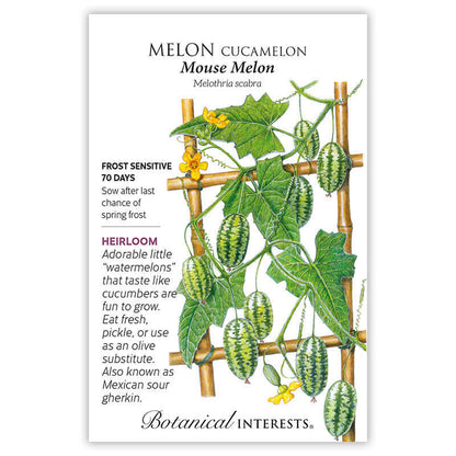 Mouse Melon Cucamelon Melon Seeds