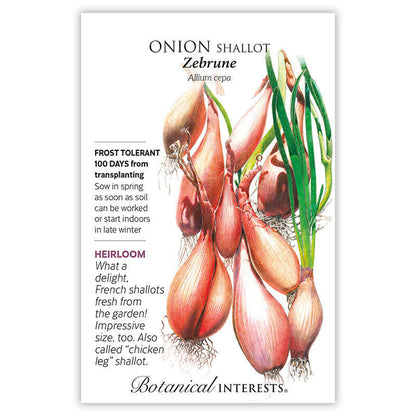 Zebrune Shallot Onion Seeds