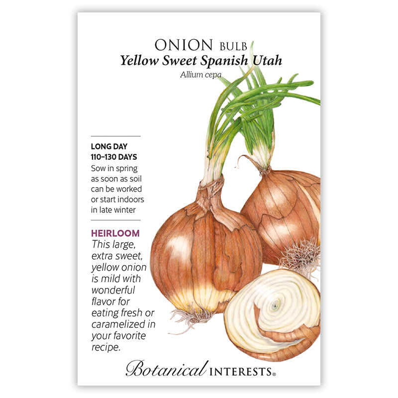 Yellow Sweet Spanish Utah Bulb Onion Seeds