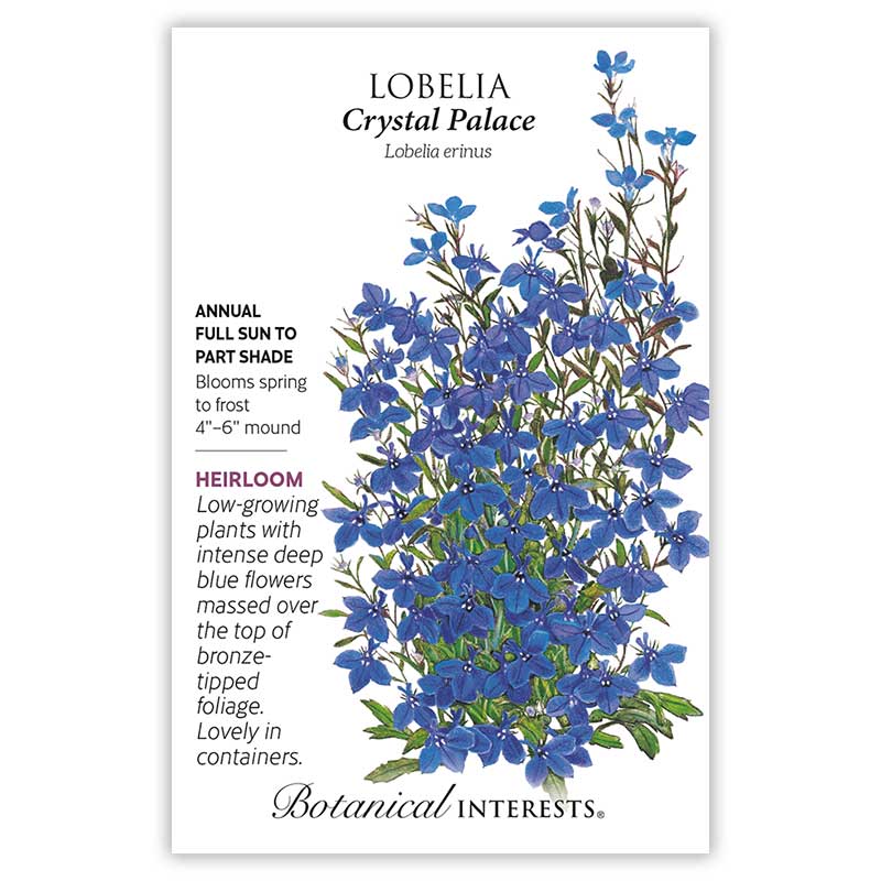 Lobelia crystal deals palace