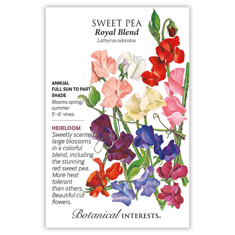 Royal Blend Sweet Pea Seeds