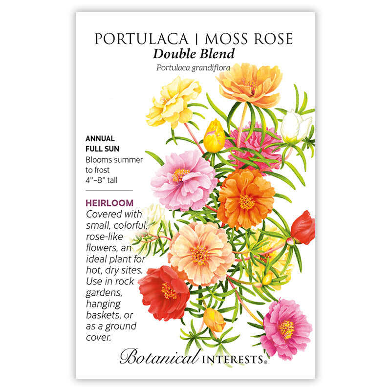 Double Blend Portulaca (Moss Rose) Seeds