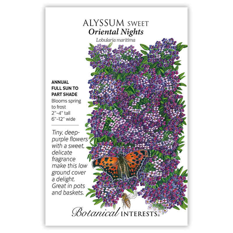 Oriental Nights Sweet Alyssum Seeds