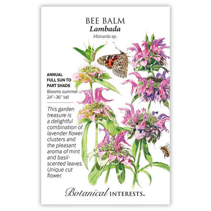 Lambada Bee Balm Seeds