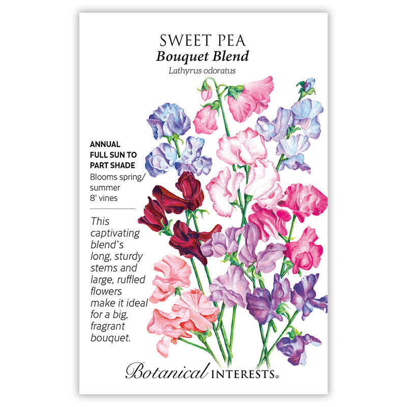 Bouquet Blend Sweet Pea Seeds