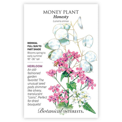 Honesty Money Plant Seeds