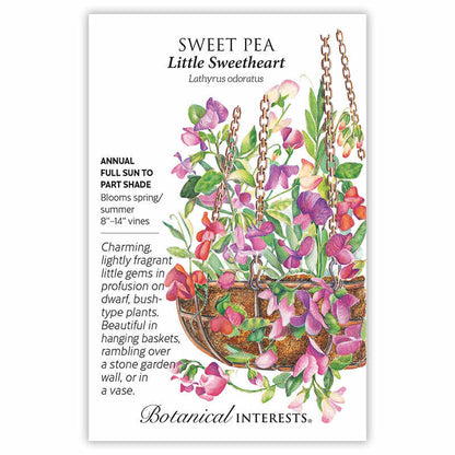 Little Sweetheart Sweet Pea Seeds