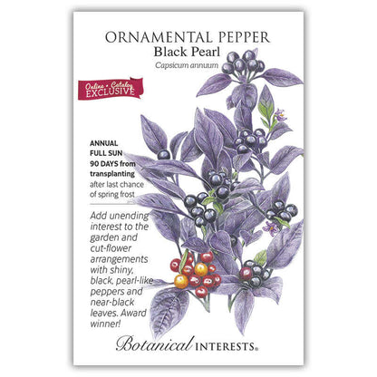 Black Pearl Ornamental Pepper Seeds