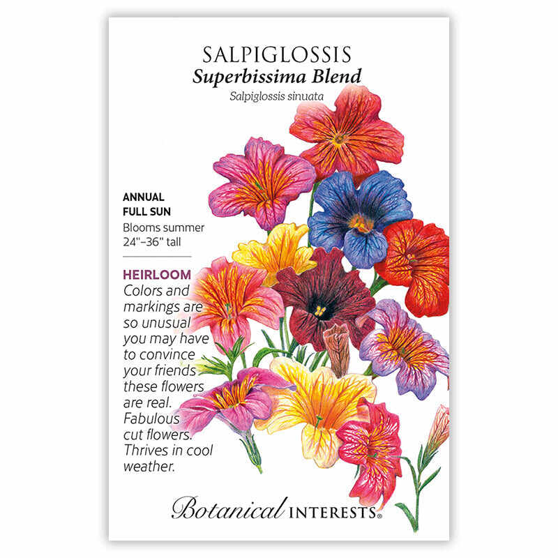 Superbissima Blend Salpiglossis Seeds