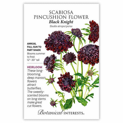 Black Knight Scabiosa Pincushion Flower Seeds