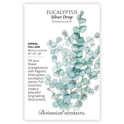 Eucalyptus Silver Drop