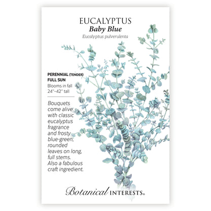 Baby Blue Eucalyptus Seeds