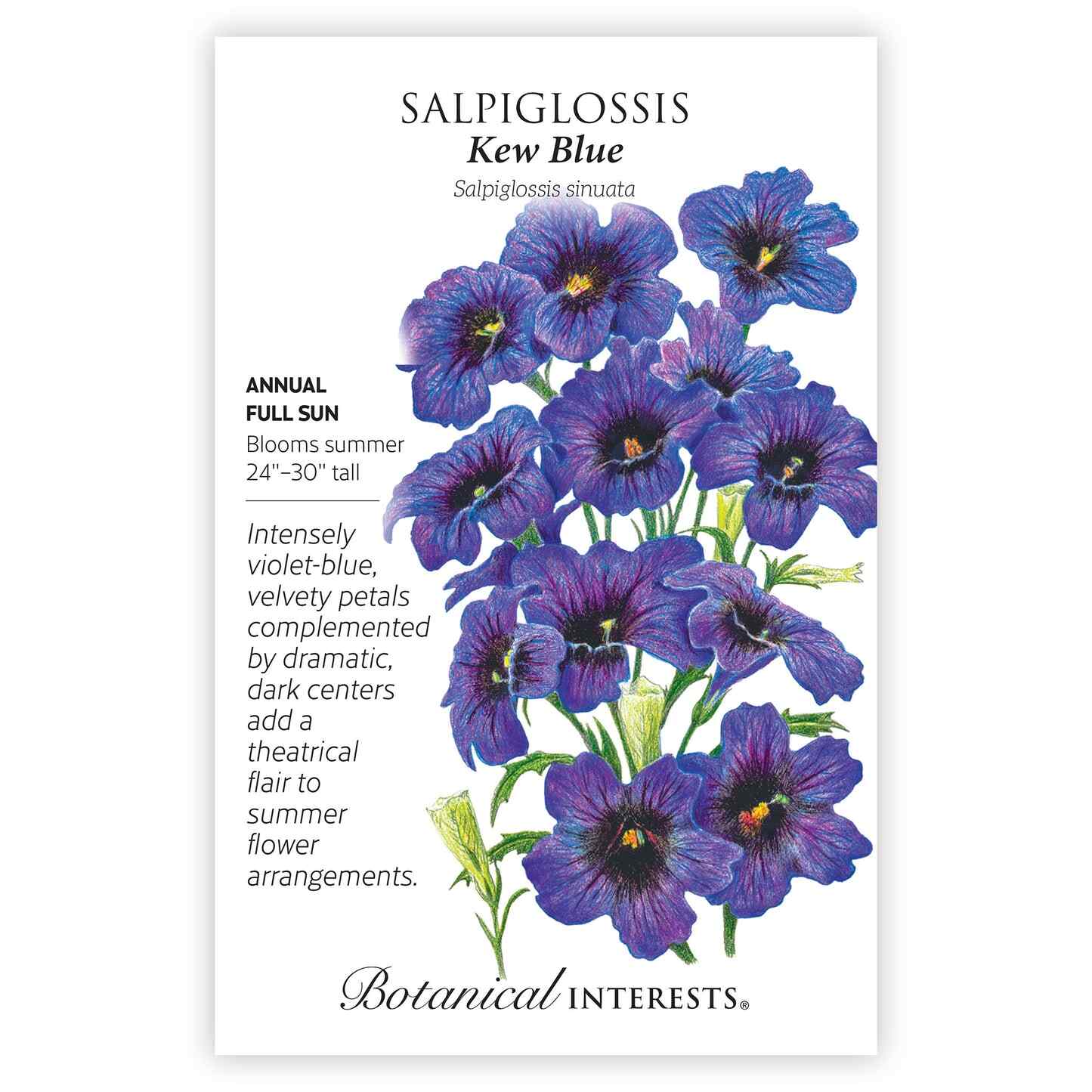 Kew Blue Salpiglossis Seeds