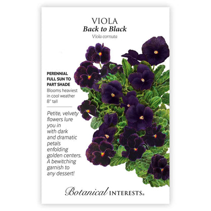 Back to Black Viola Seeds