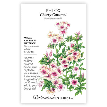 Cherry Caramel Phlox Seeds