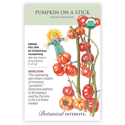 Pumpkin on a Stick Seeds