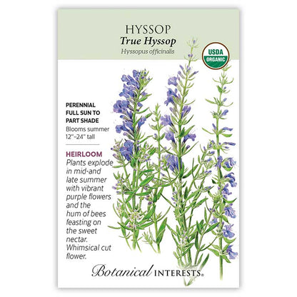 True Hyssop Seeds