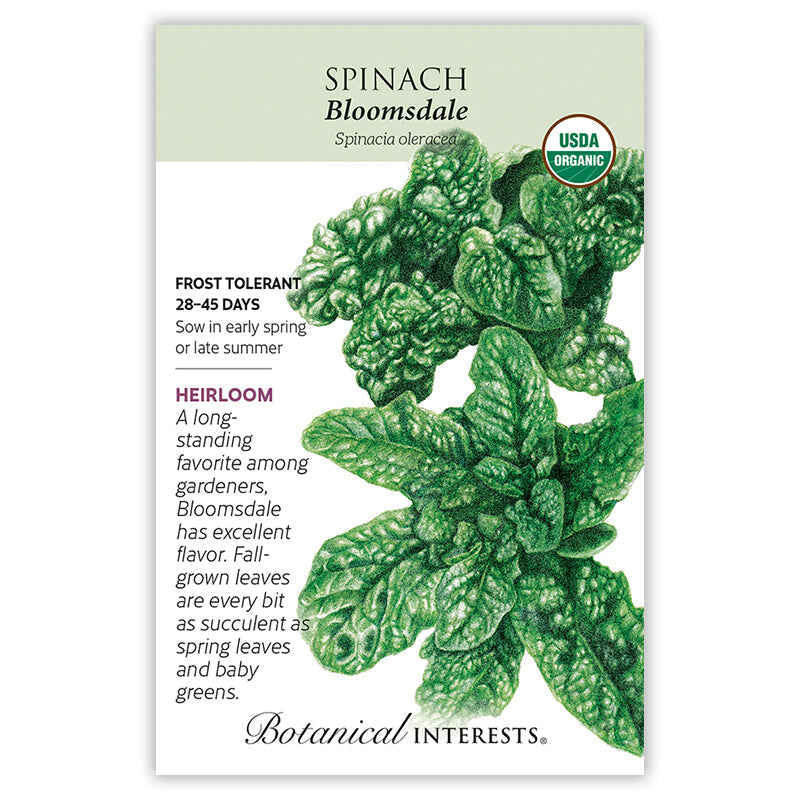 Bloomsdale Spinach Seeds