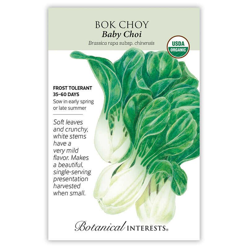 Baby Choi Bok Choy Seeds