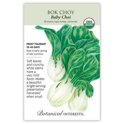 Baby Choi Bok Choy Seeds