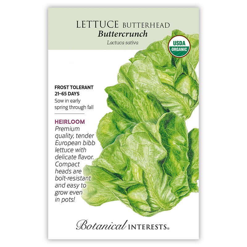 Buttercrunch Butterhead Lettuce Seeds