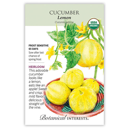 Lemon Cucumber Seeds – Botanical Interests