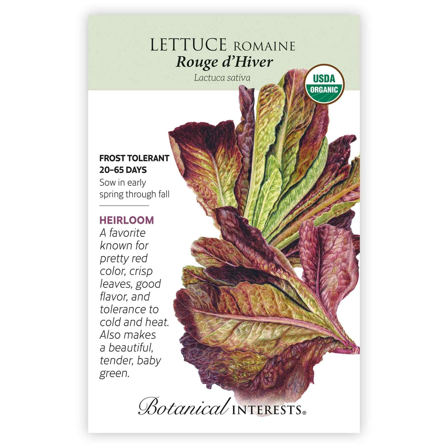 Rouge d'Hiver Romaine Lettuce Seeds