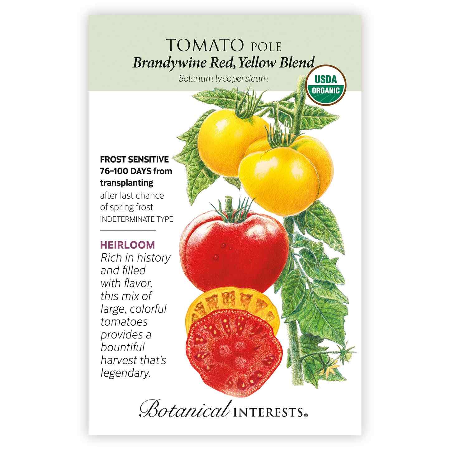 Brandywine Red & Yellow Blend Pole Tomato Seeds