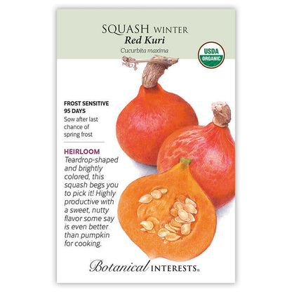 Red Kuri Winter Squash Seeds