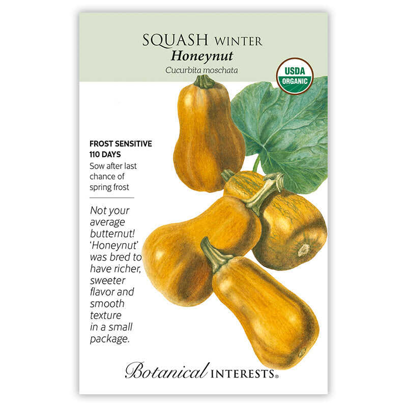 Honeynut Winter Squash Seeds