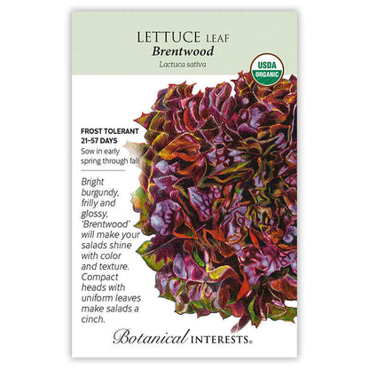 Brentwood Leaf Lettuce Seeds