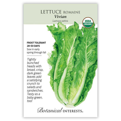 Vivian Romaine Lettuce Seeds