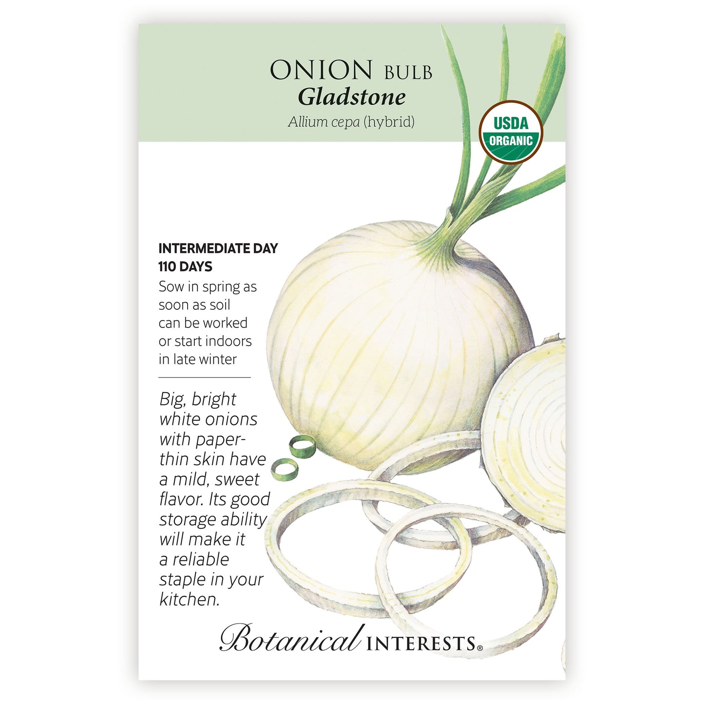 Gladstone Onion Seeds