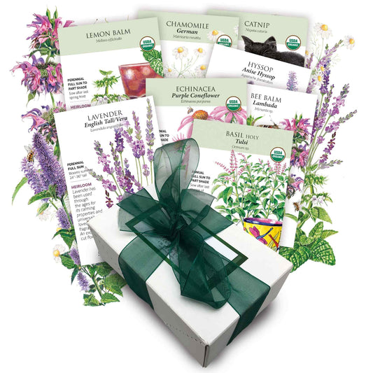 Herbal Tea Gift Set