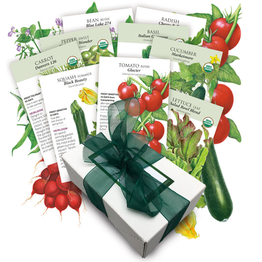 Basic Bounty Vegetable Gift Set