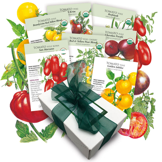 Heirloom Tomato Seed Collection