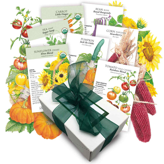 Children's Garden Gift Set