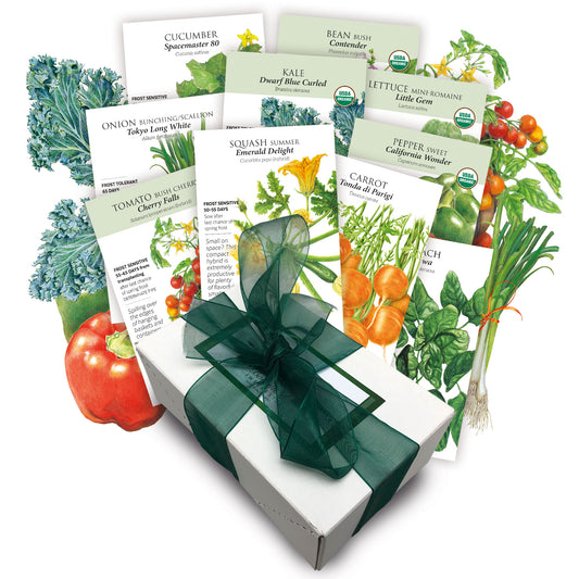 Container Vegetable Gift Set